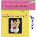 ingle-endodontics